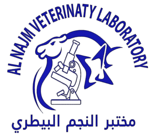 al najm logo